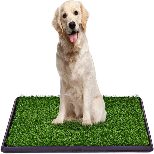 Tucker Murphy Pet™ Dog Grass Pet Loo Indoor/Outdoor Portable Potty
